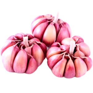 Alho Roxo Extra Premium cada 100g