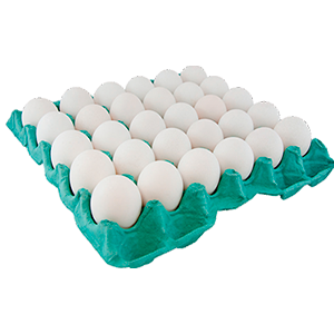 Ovos São José Branco Grande Bandeja c/30